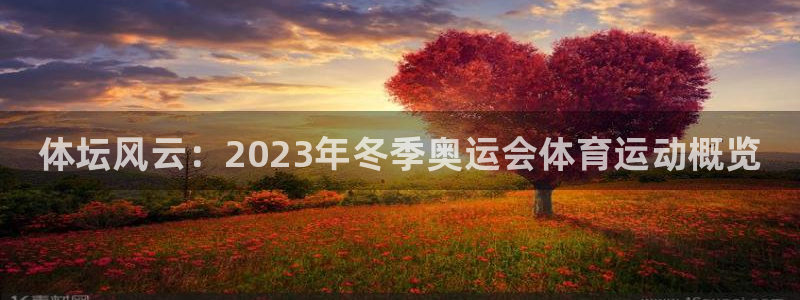 vsport体育官网下载招商电话号码:体坛风云:2023年冬