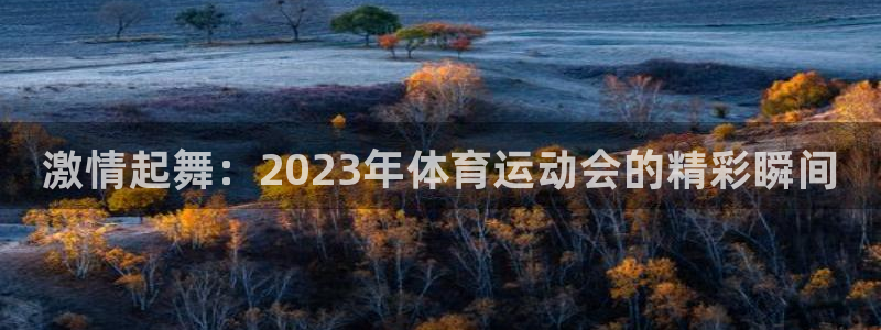 vsport体育官方正版app科技:激情起舞:2023年体育