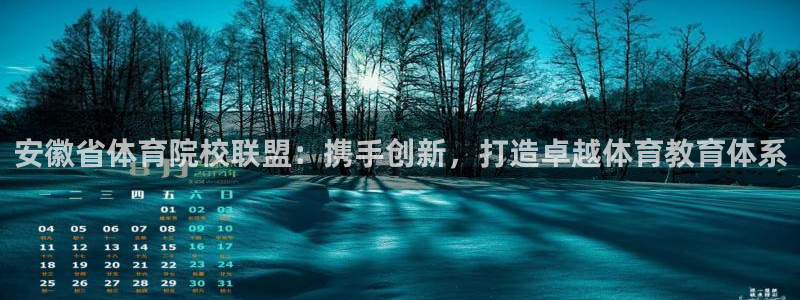 vsport体育官网下载注册:安徽省体育院校联盟:携手创新,