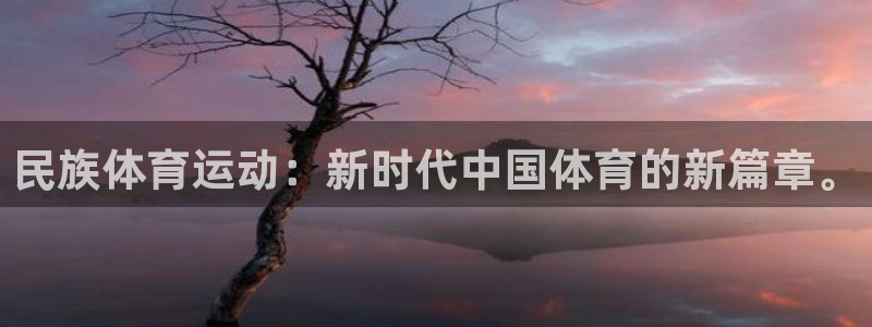 vsport体育官方正版app娱乐40996:民族体育运动: