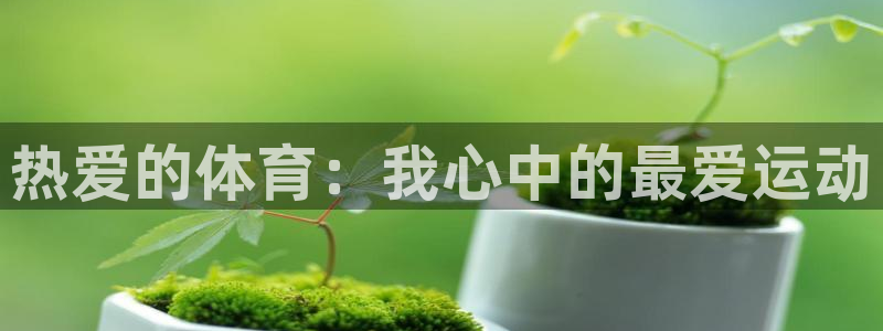 vsport体育官方正版app集团官网网址:热爱的体育:我心