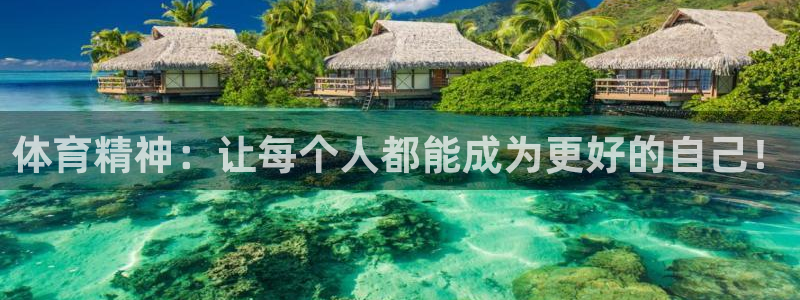 vsport体育官方正版app新能源:体育精神:让每个人都能