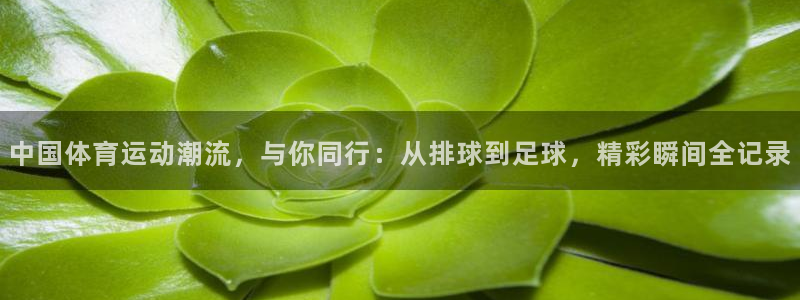 vsport体育官网下载平台注册要钱吗是真的吗:中国体育运动