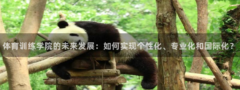 vsport体育官网下载招商电话号码查询是多少:体育训练学院