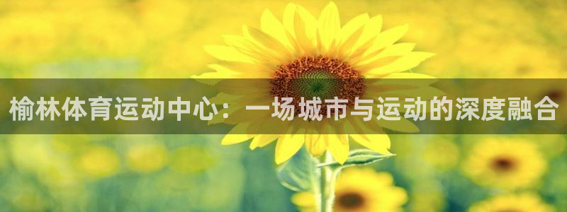 vsport体育官网下载开户:榆林体育运动中心:一场城市与运