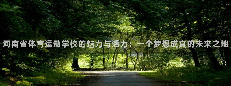 vsport体育官方正版app官网:河南省体育运动学校的魅力